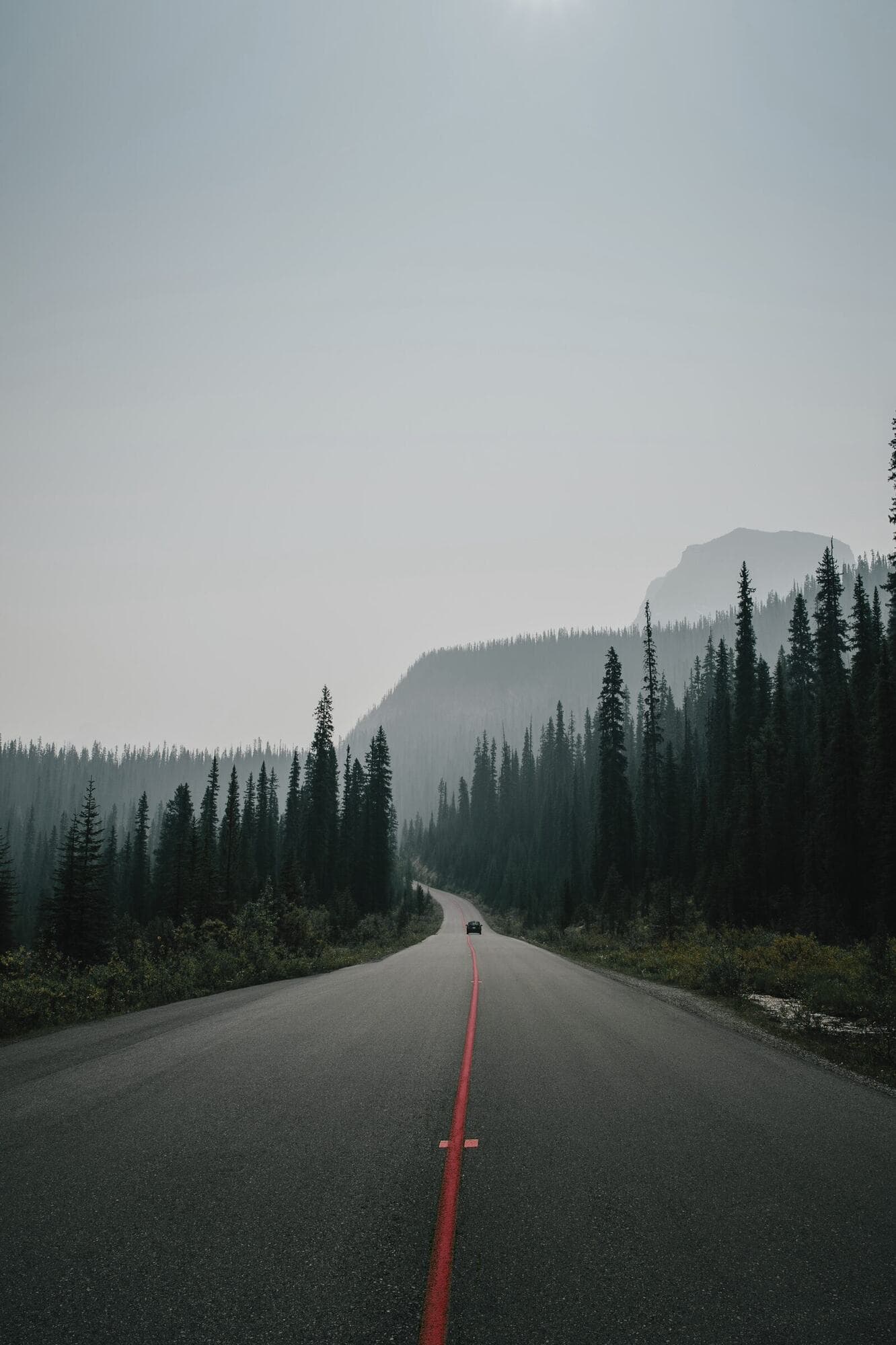 A straight road with a red centre line leading into the distance
